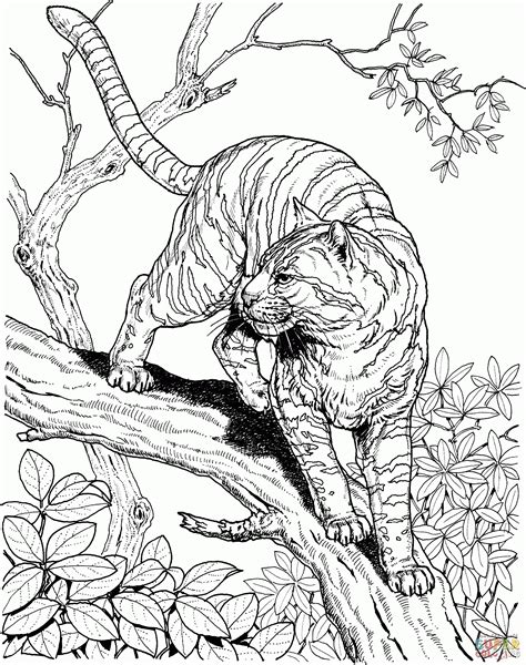 Jungle Animals Printable Coloring Pages